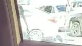 BYD Dolphin Mini - Miniatura 18