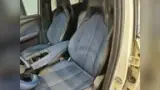 BYD Dolphin Mini - Miniatura 9