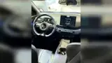 BYD Dolphin Mini - Miniatura 2