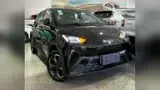 BYD Dolphin Mini - Miniatura 3
