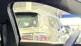 BYD Dolphin Mini - Miniatura 10