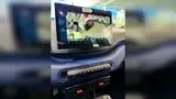BYD Dolphin Mini - Miniatura 13