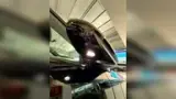 BYD Dolphin Mini - Miniatura 17