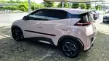 BYD Dolphin Mini - Miniatura 4