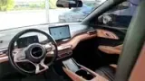 BYD Dolphin Mini - Miniatura 11