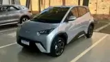 BYD Dolphin Mini - Miniatura 3