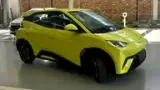 BYD Dolphin Mini - Miniatura 2
