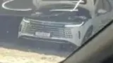 BYD Dolphin Mini - Miniatura 8