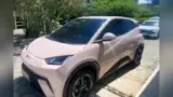 BYD Dolphin Mini - Miniatura 1