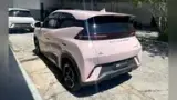 BYD Dolphin Mini - Miniatura 6