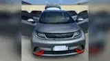 BYD Dolphin Mini - Miniatura 7