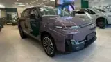 Leapmotor C10 - Miniatura 1