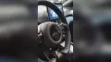 BYD Dolphin Mini - Miniatura 2