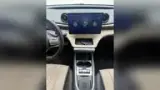 BYD Dolphin - Miniatura 15