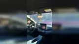 BYD Dolphin Mini - Miniatura 11