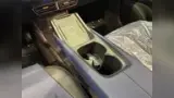 BYD Dolphin Mini - Miniatura 12