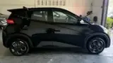 BYD Dolphin Mini - Miniatura 4