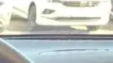 BYD Seal - Miniatura 13
