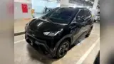 BYD Dolphin Mini - Miniatura 1