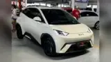 BYD Dolphin Mini - Miniatura 6
