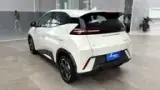 BYD Dolphin Mini - Miniatura 6