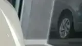 BYD Dolphin Mini - Miniatura 8