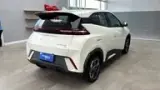 BYD Dolphin Mini - Miniatura 9