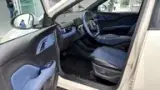 BYD Dolphin Mini - Miniatura 16