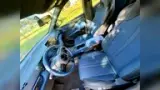 BYD Dolphin Mini - Miniatura 11