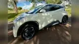 BYD Dolphin Mini - Miniatura 18