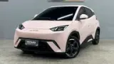 BYD Dolphin Mini - Miniatura 1