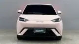 BYD Dolphin Mini - Miniatura 3