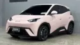 BYD Dolphin Mini - Miniatura 4