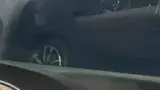 BYD Dolphin Mini - Miniatura 11