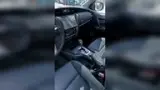BYD Dolphin Mini - Miniatura 7