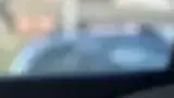 BYD Dolphin - Miniatura 9