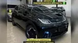 BYD Dolphin - Miniatura 1
