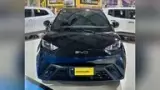 BYD Dolphin Mini - Miniatura 1