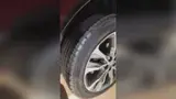 BYD Dolphin Mini - Miniatura 4
