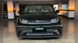 BYD Dolphin Mini - Miniatura 2