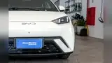 BYD Dolphin Mini - Miniatura 4