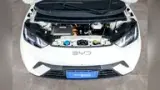 BYD Dolphin Mini - Miniatura 6