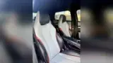 BYD Dolphin - Miniatura 6