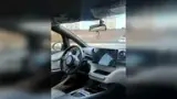 BYD Dolphin - Miniatura 7