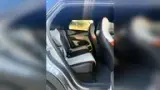 BYD Dolphin - Miniatura 9