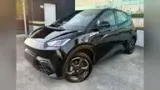 BYD Dolphin Mini - Miniatura 11