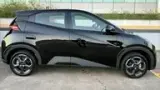BYD Dolphin Mini - Miniatura 6