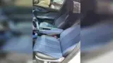 BYD Dolphin Mini - Miniatura 7