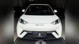 BYD Dolphin Mini - Miniatura 2