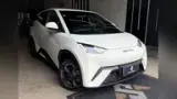 BYD Dolphin Mini - Miniatura 3